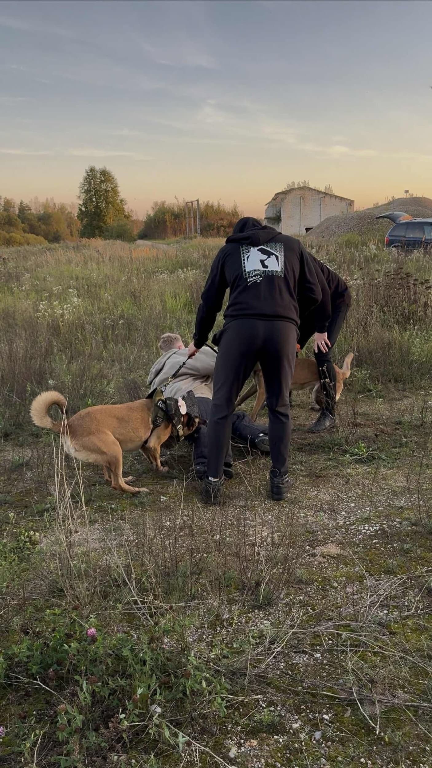 Sulaikymas su šunimi „Letenų namuose“ 1-10 asm.