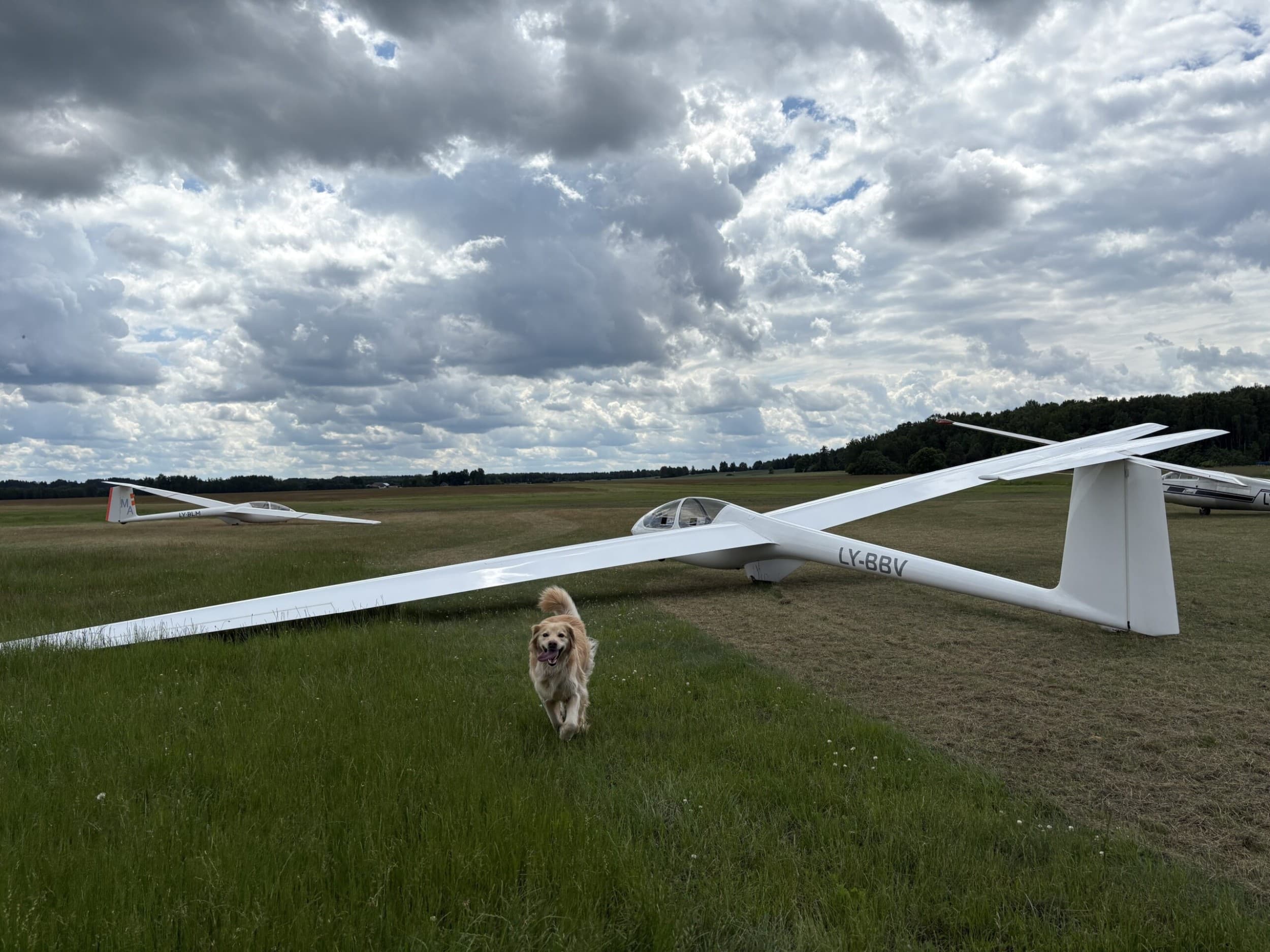 Skrydis sklandytuvu su „Prienų aeroklubu“