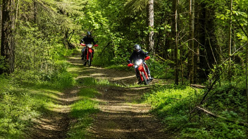 Enduro turas motociklais su „Vilnius Enduro Tours“ (4 val.)
