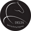 Jojimo Klubas „Delta”