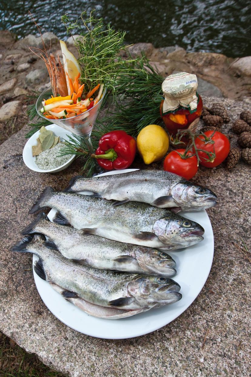 Upėtakių žvejyba ir jų paruošimas ŠEIMAI