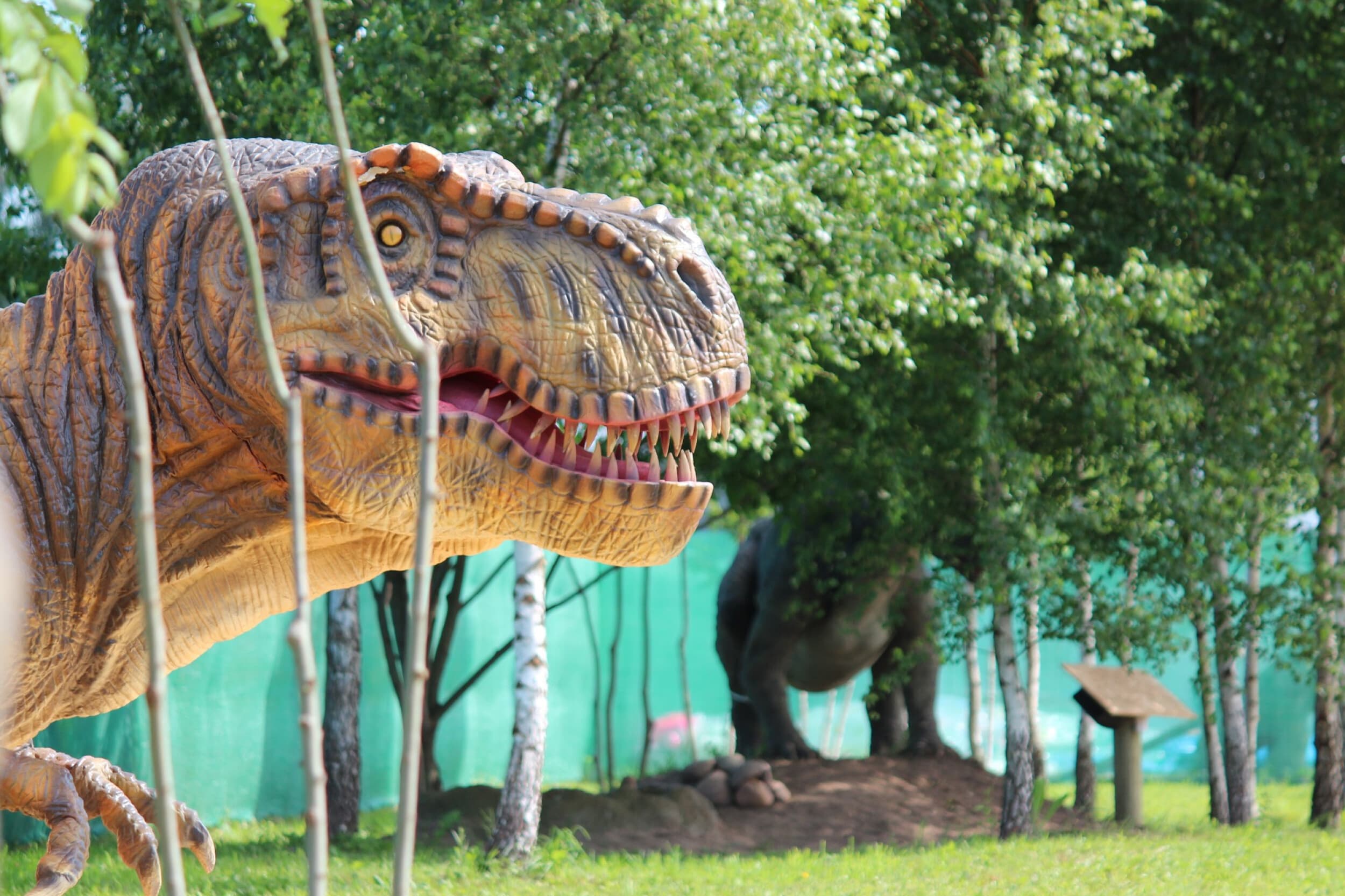 Diena su dinozaurais „Dino pramogų parke“ (2 asmenims) | Laisvalaikio Dovanos