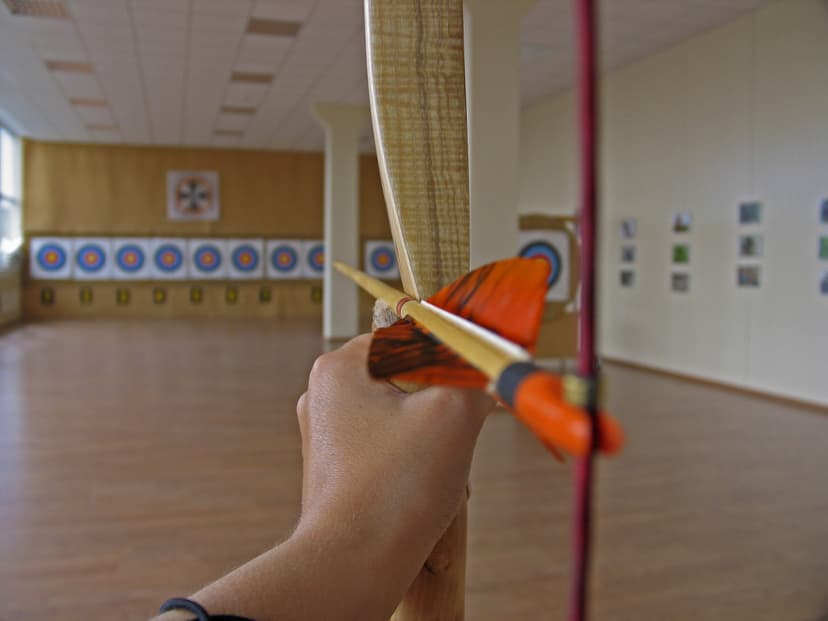 Šaudymas iš lankų ir arbaletų dviem