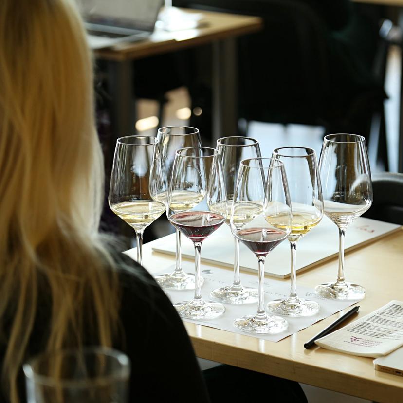 Vyno kursai „Lietuvos someljė mokykloje“ 2 asm.