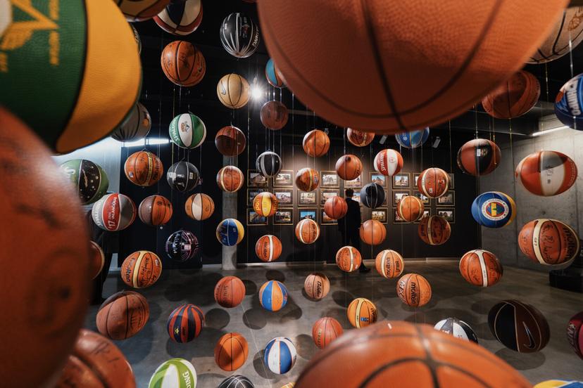 Edukacija „Pirmieji krepšinio žingsniai“ 1 asmeniui