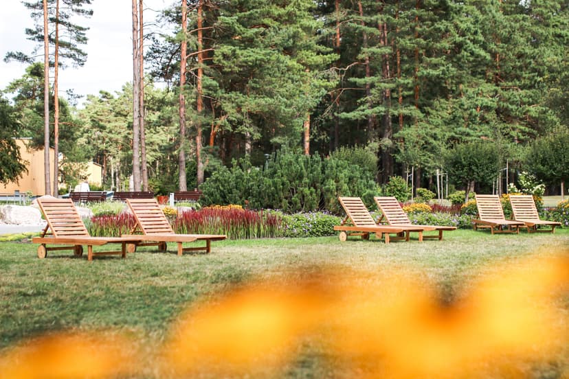 3 naktys „viskas įskaičiuota“ „Eglės sanatorijoje“ Comfort 2 asm.