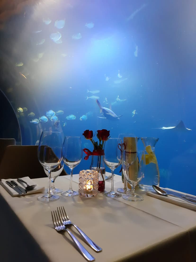 Privati povandeninė vakarienė dviems Lenkijoje