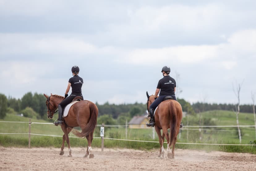 Jodinėjimas žirgais manieže ar aikštelėje dviem