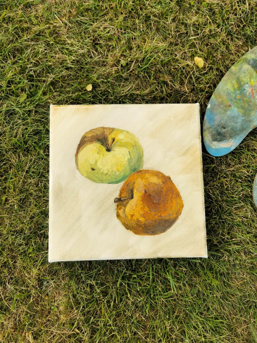 Tapyba po atviru dangumi dviem