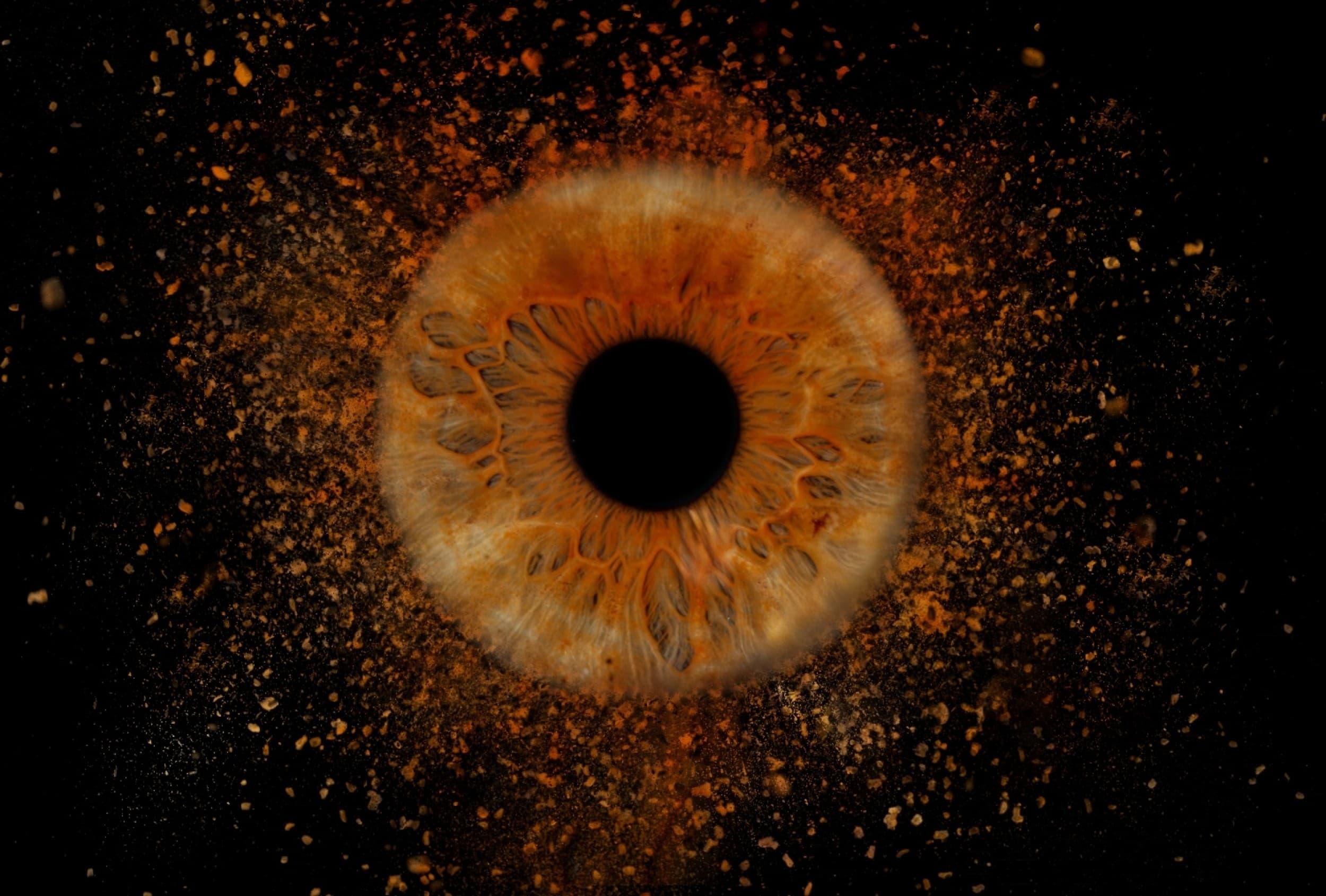 Skaitmeninė 1 akies rainelės nuotrauka studijoje „EyeArt“ | Laisvalaikio Dovanos