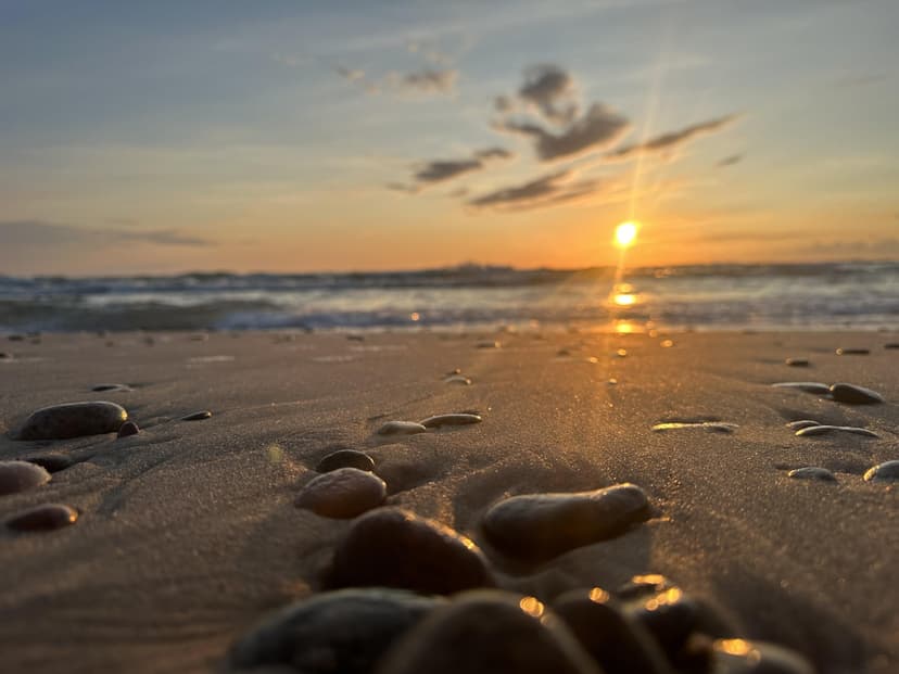 Teminis maršrutas „Kurortinės meilės paieškos Palangoje“