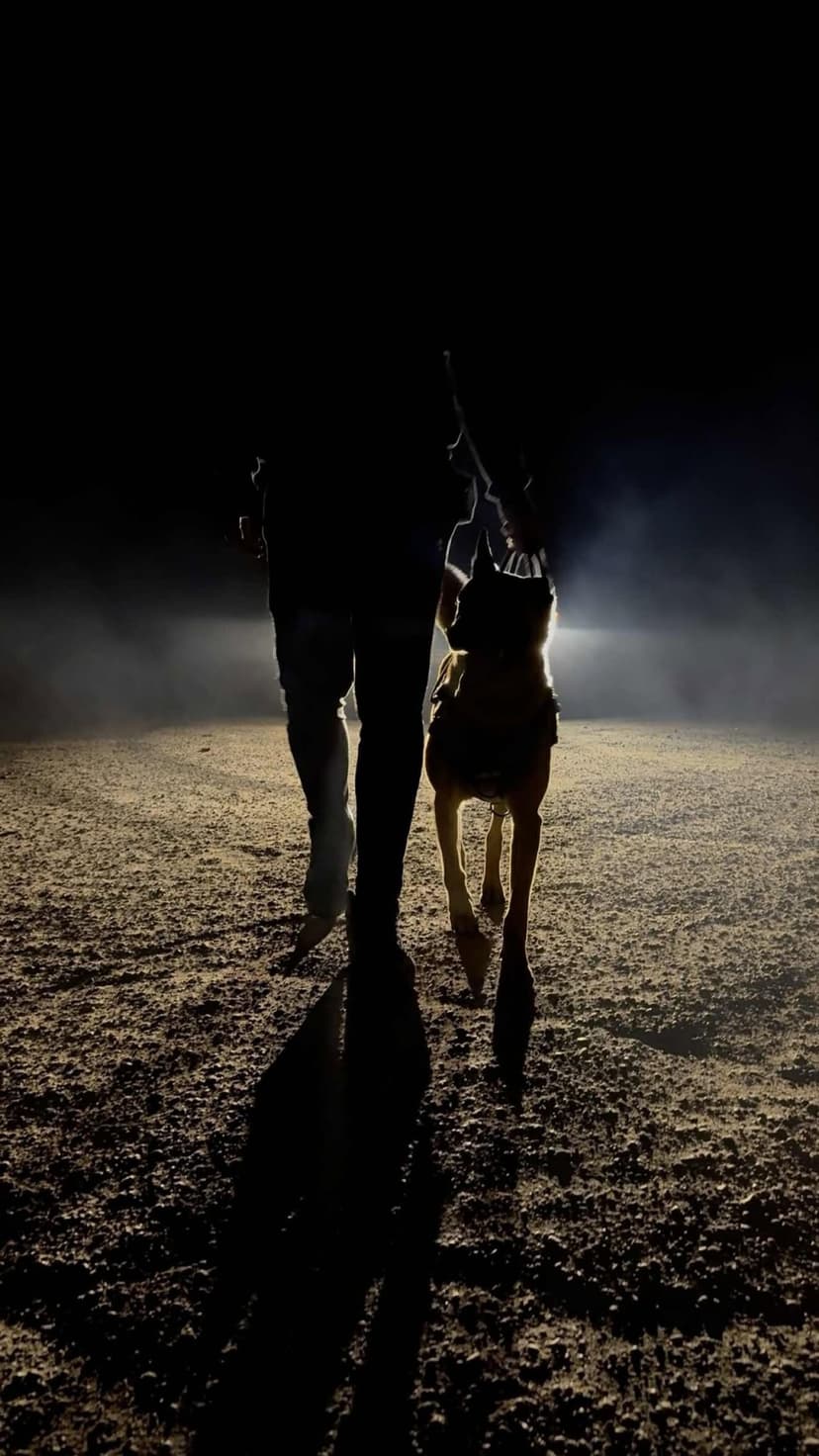 Sulaikymas su šunimi „Letenų namuose“ 1-10 asm.