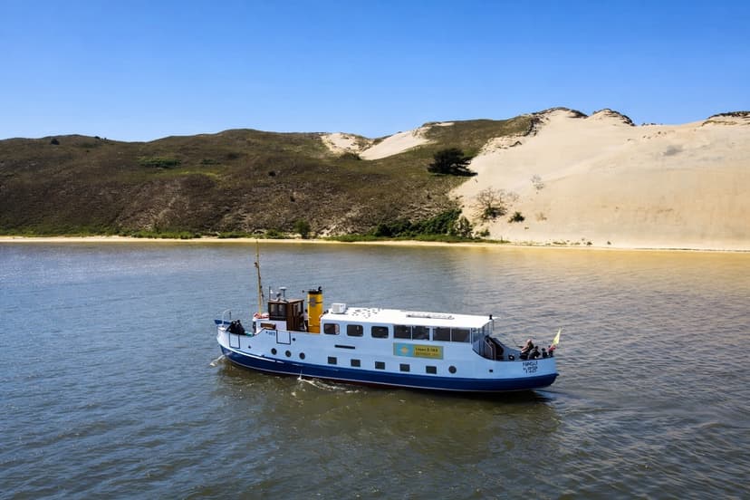 Dienos kruizas laivu „Forelle“ iš Klaipėdos į Kuršių neriją vaikui