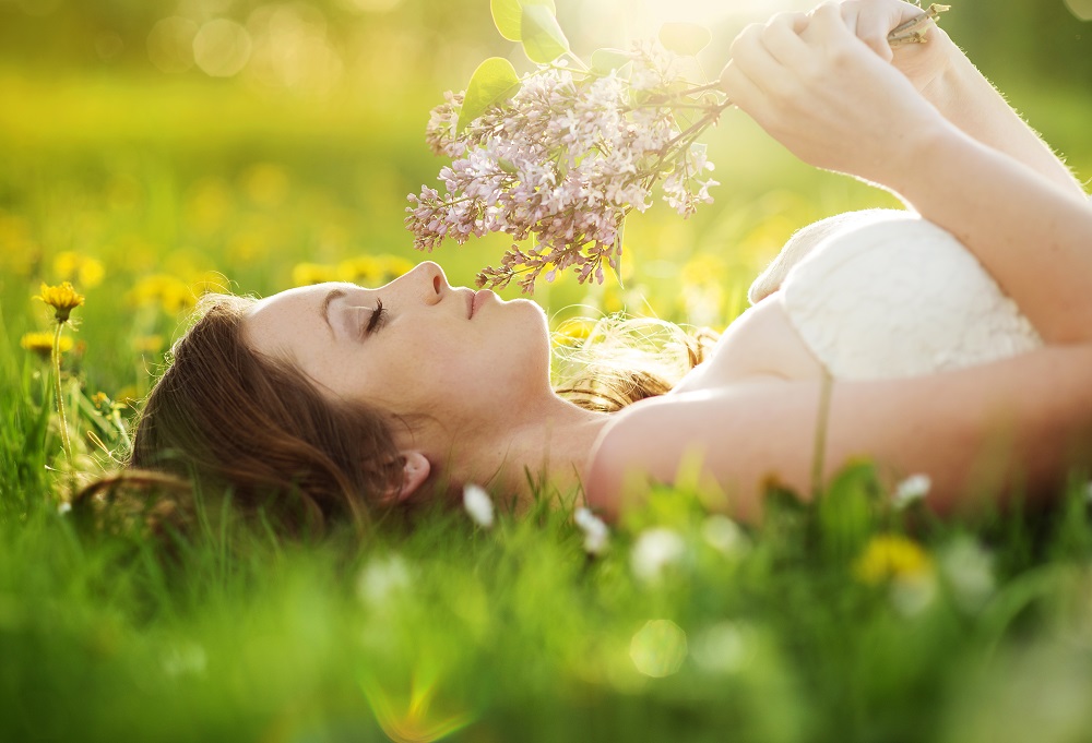 shutterstock_137222729