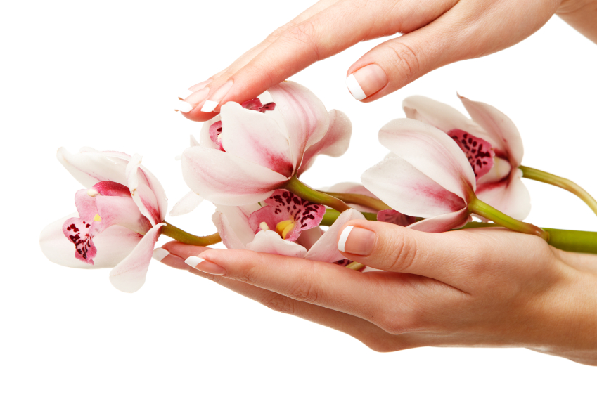 Hands and orchid