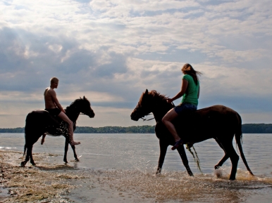 54576_photo_l