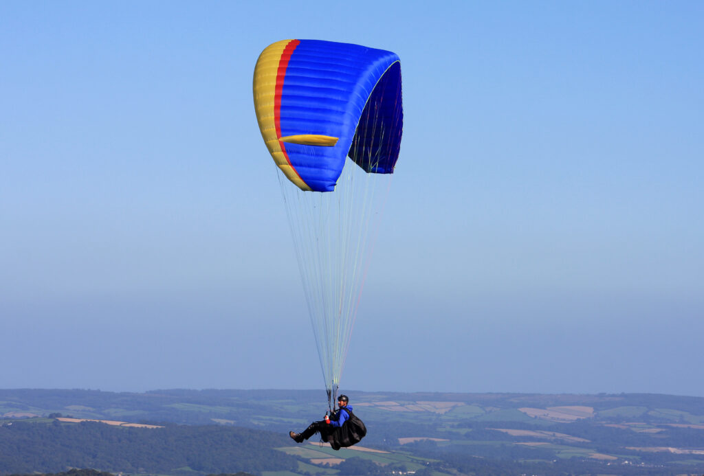parasparnis teciui